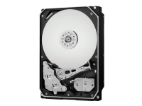 WD Gold Datacenter Hard Drive WD1005FBYZ - Harddisk - 1 TB - intern - 3.5 - SATA 6Gb/s - 7200 rpm - buffer: 128 MB
