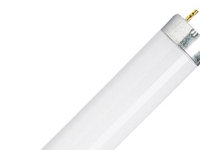 Osram Active Daywhite, 36 W, G13, 3350 lm