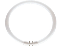 Philips MASTER TL5 Circular, 39,9 W, 2GX13, C-T5, 3300 lm, Kjølig hvit