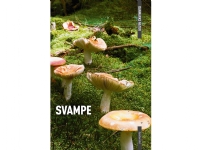 DANMARKS NATUR Svampe | Torben Gang Rasmussen | Språk: Dansk