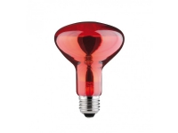 Paulmann 829.66, 100 W, 1000 timer, 64 lm, 80°, Rød, 230 V