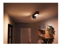 Philips Hue White Color Ambiance Centris 2-Spot Sort - BT