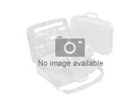 Intel Mini DIMM registered DDR-2 - Cacheminne for RAID-kontroller - for Intel SAS Midplane 2