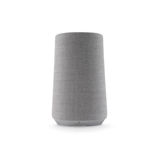 Harman Kardon HKCITA100MKIIGRYEU
