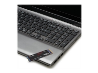 PNY XLR8 CS3030 - Solid State Drive - 250 GB - intern - M.2 2280 - PCI Express