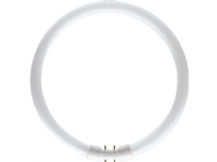 Compact fluorescent lamp Philips Master TL5 Circular 2GX13 60W (871150064261525)