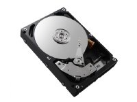 DELL 9SW066-158, 2.5, 300 GB, 15000 RPM