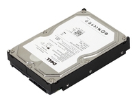 Dell - Harddisk - 750 GB - intern - 3.5 - SATA 3Gb/s - 7200 rpm - oppusset - for PowerEdge R805, R905, T605