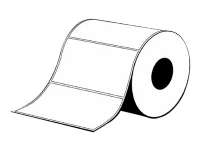 Epson PE - Matt - permanent akryl-adhesiv - 102 x 152 mm 3200 etikett(er) (4 rull(er) x 800) stanseskårne etiketter - for ColorWorks C7500, C7500G, CW-C6000Ae, CW-C6000Pe, TM-C7500