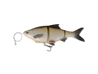 SG 3D Linethru Roach 25cm 200g SS 03-Bream