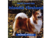 Islandsk Fårehund | Dansk Kennel Klub | Språk: Dansk