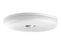 Philips Hue White Ambiance Struana Loftslampe BT - Badeværelse