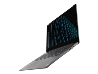 Lenovo V17 G2 ITL 82NX - Core i5 1135G7 / 2.4 GHz - Win 10 Home 64-bit - Iris Xe Graphics - 8 GB RAM - 256 GB SSD NVMe - 17.3 IPS 1920 x 1080 (Full HD) - Wi-Fi 6 - jerngrå - kbd: Nordisk