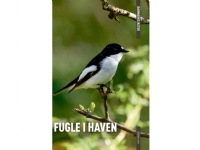 DANMARKS NATUR Fugle i haven | Axel Kielland Benny Génsbøl | Språk: Dansk