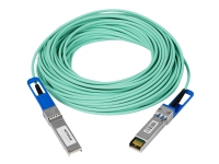NETGEAR - Direkte 10GBase-koblingskabel - SFP+ (hann) til SFP+ (hann) - 7 m - toakset - aktiv