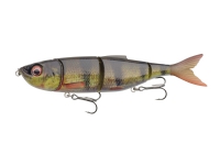 SG 4Play V2 Swim & Jerk 20cm 65g SS 02-Roach