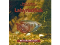 Labyrintfisk | Benny B. Larsen, F. Ingemann Hansen | Språk: Dansk