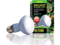 Exo Terra Daylight Basking Spot 25W bulb