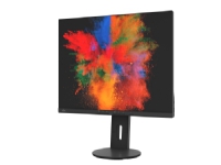 Fujitsu B2410 WS - LED-skjerm - 24.1 - 1920 x 1200 WUXGA - IPS - 300 cd/m² - 1000:1 - 5 ms - HDMI, DVI-D, VGA, DisplayPort - høyttalere - svart