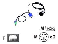 Lenovo Short KVM Conversion Option - Tastatur / video / musadapter (KVM) - PS/2, HD-15 (VGA) (hann) til RJ-45 (hunn) - 25 cm - for System x3250 M2 x32XX x34XX x3500 x3655 x3755 x3800 x3850 M2 x3950 M2