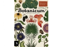 Botanicum | Katie Scott & Kathy Willis | Språk: Dansk