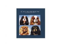 Cavalieren | Erik Fritzbøger | Språk: Dansk