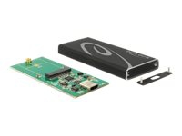 Delock - Drevkabinett - M.2 Card - 600 MBps - USB 3.1 (Gen 2) - svart