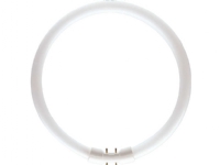 Philips MASTER TL5 Circular, 22,3 W, 2GX13, C-T5, 1800 lm, Varm hvit