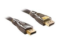 Delock - DisplayPort-kabel - DisplayPort (hann) til DisplayPort (hann) - 5 m - antrasitt