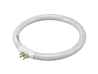 T4 Lysstofrør G10q 12 W N/A Ringform (Ø x H) 138 mm x 13 mm Energiklasse: A (A++ - E) 1 stk