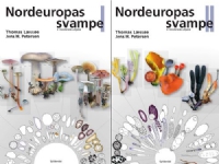 Nordeuropas svampe 1-2 | Jens H. Petersen Thomas Læssøe | Språk: Dansk