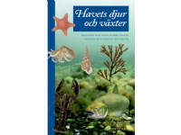 Havets djur och växter | Marianne Køie Aase Kristiansen | Språk: Dansk