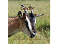 Geder | Christina Schwartz | Språk: Dansk