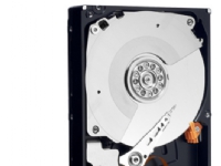 WD Black Performance Hard Drive WD1002FAEX - Harddisk - 1 TB - intern - 3.5 - SATA 6Gb/s - 7200 rpm - buffer: 64 MB