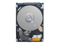Dell - Customer Kit - harddisk - 12 TB - hot-swap - 3.5 - SAS 12Gb/s - NL - 7200 rpm - for PowerEdge C6420, R240, R340, R440, R540, R640, R6415, R740, R740xd, R740xd2, R7415, R7425