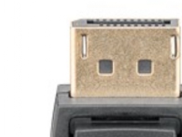 DisplayPort/DVI-D-adapterkabel 1.2,