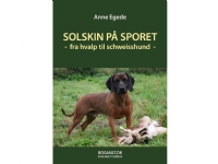 Solskin på sporet | Anne Egede | Språk: Dansk