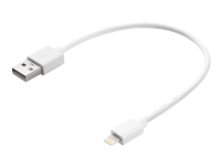 Sandberg - Lightning-kabel - Lightning hann til USB hann - 20 cm - for Apple iPad/iPhone/iPod (Lightning)