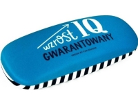 MR DRAGON Case for IQ glasses