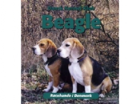 Beagle | Språk: Dansk