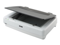 Epson Expression 12000XL - Planskanner - A3 - 2400 dpi x 4800 dpi - USB 2.0