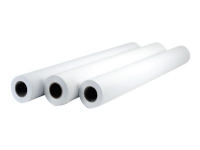 HP Professional Matte Canvas - Matt - 22 mille - Rull (152,4 cm x 15,2 m) - 390 g/m² - 1 rull(er) lerretspapir - for DesignJet 5000, 5000ps, 5000uv, 5500, 5500ps, Z6100, Z6100ps, Z6200, Z6600, Z6800
