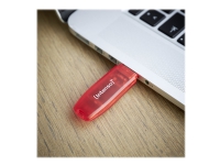 Intenso Rainbow Line - USB-flashstasjon - 128 GB - USB 2.0 - gjennomsiktig rød
