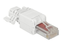 Delock - Nettverkkontakt - RJ-45 (hann) - UTP - CAT 6 - (antall per pakke: 2)