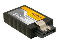 Delock SATA Flash Module vertical - Solid State Drive - 2 GB - intern - SATA 3Gb/s