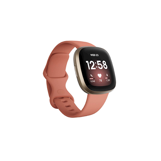 Fitbit FB511GLPK