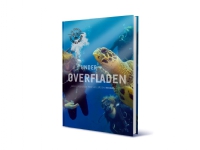 Under overfladen | Emil, Theis & Alfred Midé Erichsen | Språk: Dansk