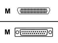 Lexmark - Parallellkabel - 36 pin mini-Centronics (hann) til DB-25 (hann) - 1.8 m - for Lexmark C720, C750, C752, C910, C912, T520, T620, T622, W812, W820, X522, X830, X832, X912