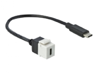 Delock Keystone module - USB-kabel - USB-C (hunn) til USB-C (hann) - 25 cm - hvit