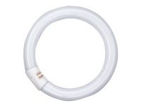OSRAM LUMILUX T9 C - Fluorescerende lyspære - form: T9 - mattslipt finish - G10q - 22 W - klasse G - INTERNA-lys - 2700 K